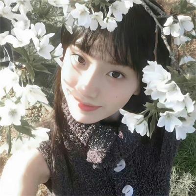 花满楼之绝世花魁